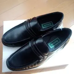 Item thumbnail for item 1737b2ed-07d5-46a7-a9ff-15770b65dbfd