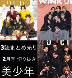 美少年 2月号 3誌まとめ売り 切り抜き