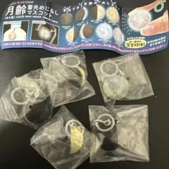 月齢 蓄光めじるしマスコット　5点セット