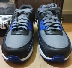 Nike Air Max 90 GORE-TEX 28.5cm 極美品