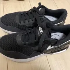 Item thumbnail for item 3fcc5076-cb81-4e2d-9d4e-1d59970c9c8e