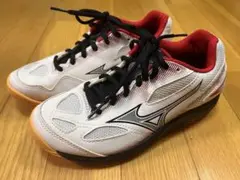Mizuno Sky Blasters バドミントンシューズ
