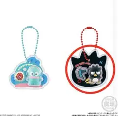 【新品・未開封】サンリオキャラクターズ パッケージチャーム　１点