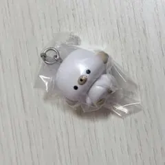 じょせまる めじるしアクセサリー ラテ