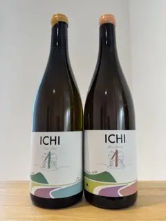 ドメーヌイチ　Pino Gris & Gewurtztraminer 2026年最新】ドメーヌイチの人気アイテム - メルカリ