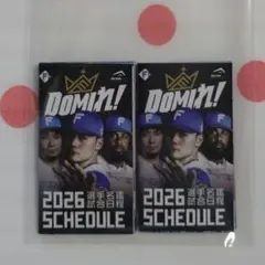 Item thumbnail for item 8d6c8a92-2053-4f4f-92d7-58941a24e34f