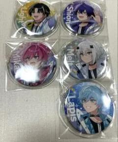 STPR めておら 缶バッジ5個セット