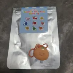 キュヒョン アイドル