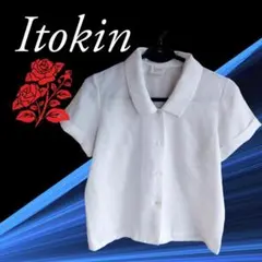 【Itokin イトキン】ブラウス レース模様 半袖 シアー （レディース）