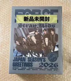 【新品未開封】straykids スキズ シーグリ 2026