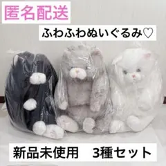 ふてねこ　ぬいぐるみ　ふわふわ　3種セット　ネコ　猫のぬいぐるみ　BIGサイズ