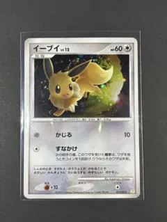 K*T様 【希少】ポケモンカード イーブイ LV.12 ホロ 011/012 2