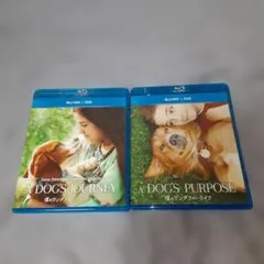 僕のワンダフルライフ&ワンダフルジャーニーBlu-ray&DVDダブルセット