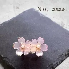 帯留　No. 2826匿名発送