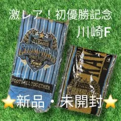 【新品未開封】川崎フロンターレ 初優勝記念タオルマフラー 2本セット 激レア