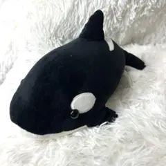 鴨川シーワールド シャチ ぬいぐるみ