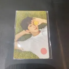 チャンビン straykids ナシフィック トレカ スキズ ストレイキッズ