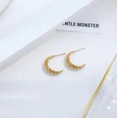 ピアス　プレゼント　フープ　ゴールド　海外 ♥️新商品♥️おしゃれ　レディース