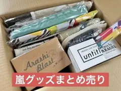 嵐　グッズ　まとめ売り　20点セット