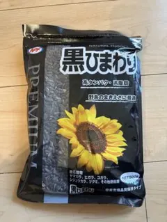 Item thumbnail for item 84b0797c-901d-4337-9777-f15cd34b3fea