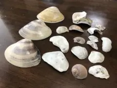 Item thumbnail for item f78e5e80-eb12-4ca7-b7be-66b1ad44b378