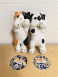 2026年最新】たっちぃZOOの人気アイテム - メルカリ