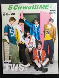 Item thumbnail for item 7987a0a1-e43d-40e4-adac-aaacb2a0d70d