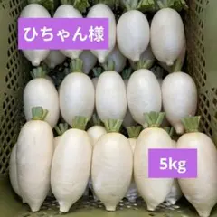 ひちゃん様専用★辛味大根『おいばね』SМ混合5kgのサムネイル