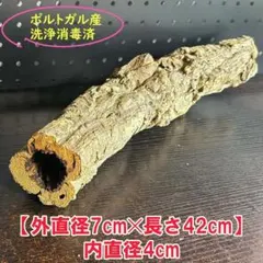 2026年最新】コルク樹皮 キャノンの人気アイテム - メルカリ