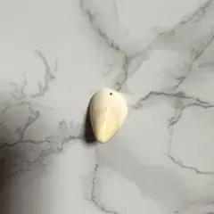 Item thumbnail for item 9168a0c6-6cdd-4ae6-8877-e3333f1b7276