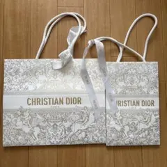CHRISTIAN DIOR ショッピングバッグ2枚セット　2023年