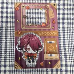 未使用ウインドボーイズ タロットモチーフシークレット アクリルスタンドB平いずる