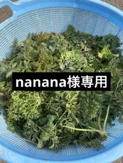 nanana様専用になります。