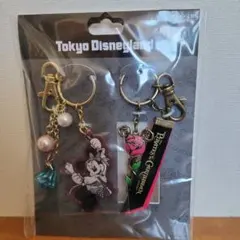 東京ディズニーランド 限定　ミニー・マウス キーホルダーセット