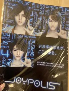 【値下げ】NYC「ジョイポリス」クリアファイル2枚セット