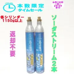 本数限定セール！12-66162_ソーダストリームシリンダー2本 - メルカリ