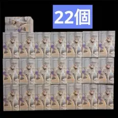 ロジデレ　DesktopCute 猫耳ルームウェア　アーリャ　22個