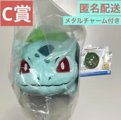 一番くじ ポケモン 30周年 vol.1 C賞 - メルカリ