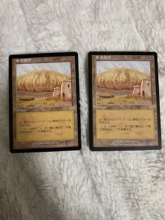 MTG 防御の光網 foil 2枚セット - メルカリ