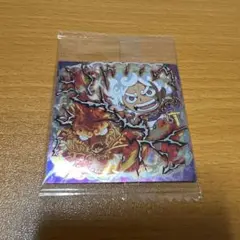 ワンピース 大海賊 シール ウエハース ルフィ カイドウ SP