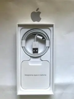 Apple Lightningケーブル オリジナルパッケージ付き