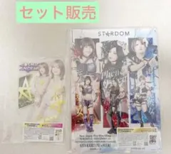 スターダム アクスタ くじ フィニッシュ賞 あたり2種 アクスタ22個