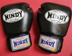 2026年最新】windyミットの人気アイテム - メルカリ