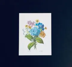 Item thumbnail for item f0920af1-d1dd-4bbc-b5e4-a049f6a00576