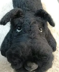 お客です羊毛フェルトぬぼっとまったり見上げてなでなで待ちの特大黒シュナ 2026年最新】ぬぼっとまったりお顔の人気アイテム - メルカリ