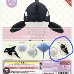 キタンクラブ かわいいぬいぐるみ 水族館のいきもの2 シャチ
