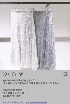 アプワイザーリッシェラメ刺繍フレアスカート