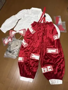 ジャンク品 hongyi製 ドラゴン型空気ビニル人形 着ぐるみ ダブル