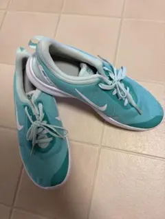 NIKE FLEX EXPERIENCE 8 25cm ライトブルーのサムネイル