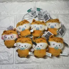 サンリオ　 どうぶつ着ぐるみマスコット 〜きつね編〜　7個